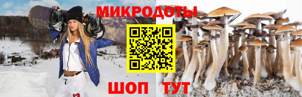 Псилоцибиновые грибы MAGIC MUSHROOMS  Псилоцибиновые грибы GOLDEN TEACHER  Дубна  Вход с VPN 